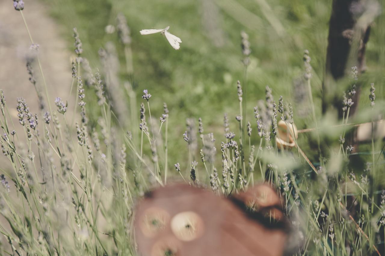 La Luna Nel Pozzo パルマ エクステリア 写真